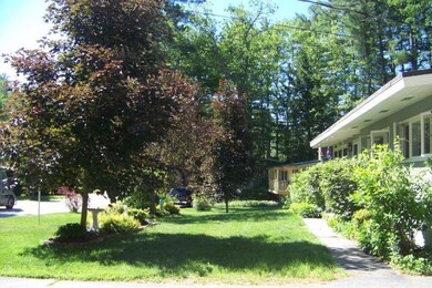 Front yard