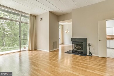 11564 Rolling Green Ct unit 101, Reston, VA 20191 - photo 7