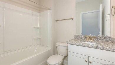 1012 Barcelona Place unit 223, Lake Wylie, SC 29710 - photo 3