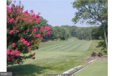 15211 Elkridge Way unit 3A, Silver Spring, MD 20906 - photo 4