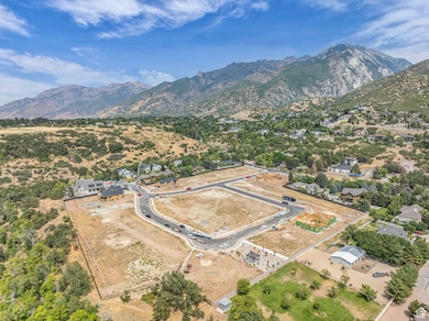 Bird's eye view of a mountain backdrop