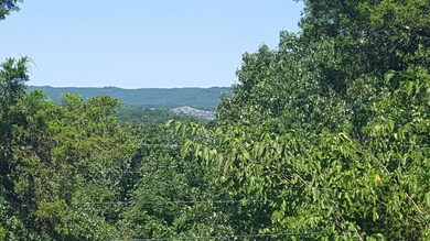 184 Skylane Dr, Kimberling City, MO 65686 - photo 4