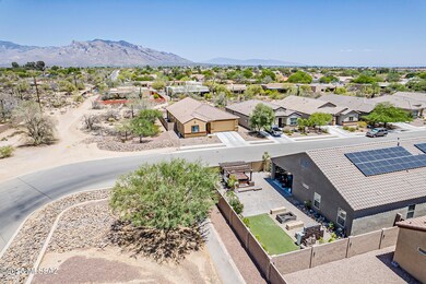Sophora_Aerial-6