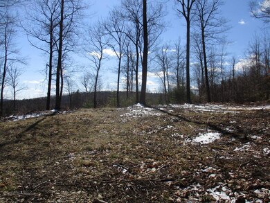 5 Isaac Frye Hwy, Wilton, NH 03086 - photo 2