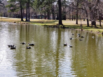 TBD E Lakeshore Dr, Magnolia, TX 77355 - photo 7