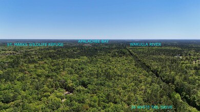 34 White Tail Dr, Crawfordville, FL 32327 - photo 2