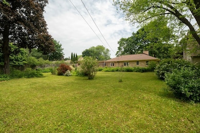 Expansive Backyard