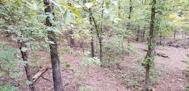 TBD (77 ac. mol) Centerpoint Church Rd, Prairie Grove, AR 72753 - photo 3