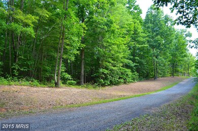 0 Bre Z Way Ln unit 1003061144, Lignum, VA 22726 - photo 6