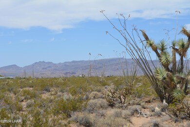 4 Lots Mohave Rd, Yucca, AZ 86438 - photo 2