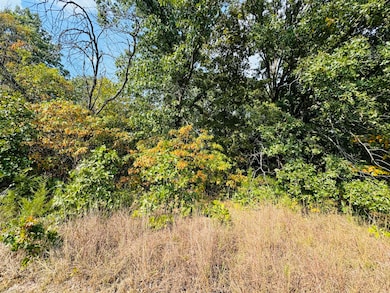 00a Highway M, Stockton, MO 65785 - photo 6