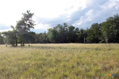 6020 Farm To Market Road 3158, Dale, TX 78616 - photo 7