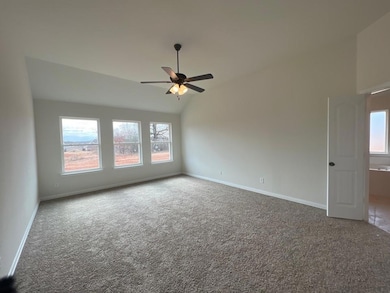 1028 Northern Oaks Ct, Springtown, TX 76082 - photo 6