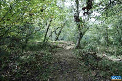 Talk a walk through the lot down to the river. on