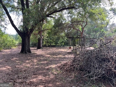 607 S Hull St, Sylvania, GA 30467 - photo 3