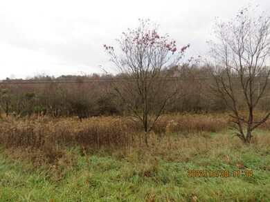 0 Blosser Rd, Logan, OH 43138 - photo 3