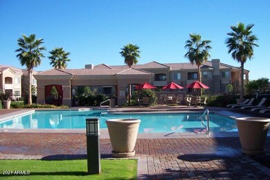 Solana Pool