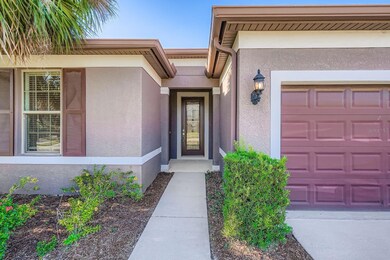 16355 Treasure Point Dr, Wimauma, FL 33598 - photo 5