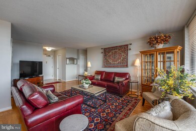 Skyline Plaza unit 809S, Baileys Crossroads, VA 22041 - photo 5