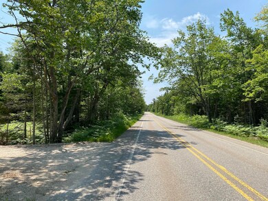 Lot 29 Third Creek Subdivision unit Lot 29, Paradise, MI 49768 - photo 3