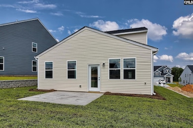 48 Harvest Wheat Ct, Elgin, SC 29045 - photo 5