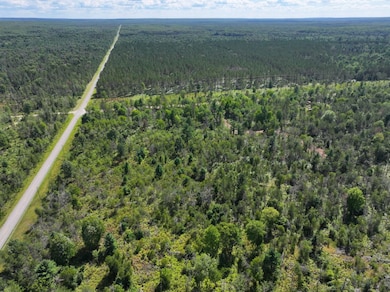 V L 10a 72nd St, Idlewild, MI 49642 - photo 3