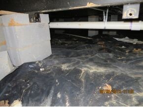 55000 Kenneth Hollow Rd, Watauga, TN 37694 - photo 4