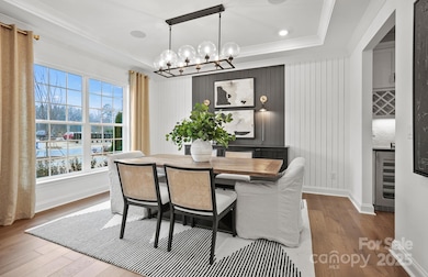 REPRESENTATIVE PHOTO