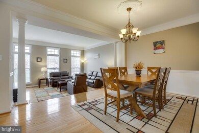 25158 Boomerang Terrace, Stone Ridge, VA 20105 - photo 4