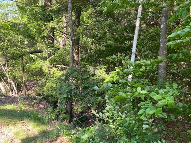 18 Split Oak Cir unit 4A/A001/01, Chesterfield, NH 03443 - photo 3