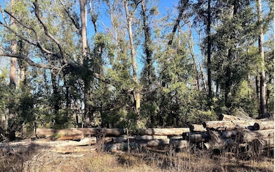 LOT46 NE Blue Springs Church Rd, Lee, FL 32059 - photo 4