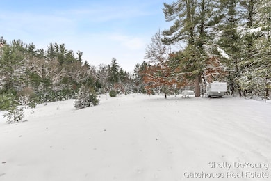 6007 S Cypress Ave, Croton Township, MI 49337 - photo 6