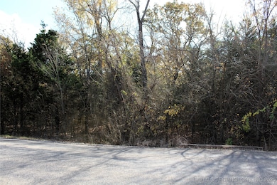 0 Red Lake Rd, Albany, OK 74726 - photo 3