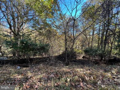 120 Snowbird Ct, Front Royal, VA 22630 - photo 5