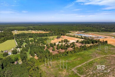 15685 Louis Cooper Rd, Bay Minette, AL 36507 - photo 7