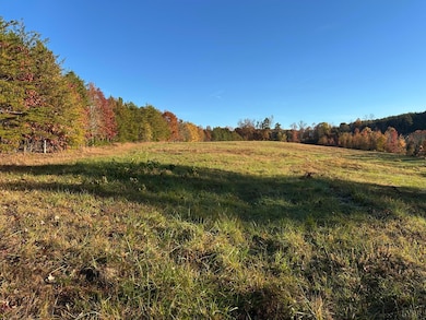 0 McIver Ferry Rd, Gladys, VA 24554 - photo 3