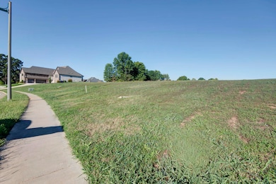 3232 W Bluffview St, Springfield, MO 65810 - photo 3