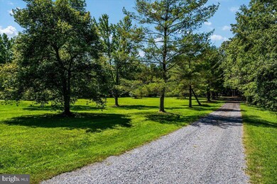 807 Dulin Clark Rd, Centreville, MD 21617 - photo 4