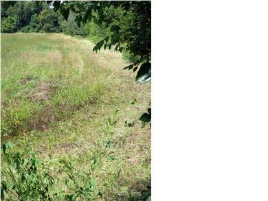 North property line
