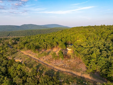 000 Tbd Rd, Heavener, OK 74937 - photo 4