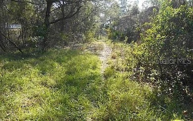 674 Nemo Dr, Sebring, FL 33870 - photo 4