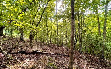 Additional View