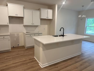 574 Griffon Dr, Chapin, SC 29036 - photo 2