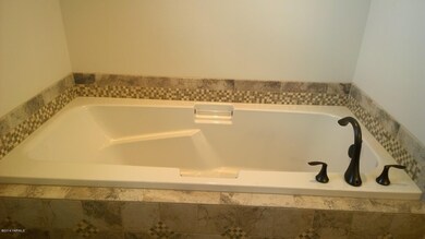 Master Bath Tub