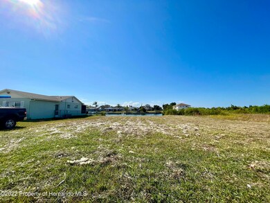 0 Poinsettia Dr unit 2228038, Hernando Beach, FL 34607 - photo 2