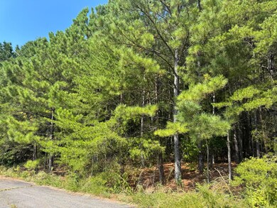 0 Lot 7 Kimwood Subdivision unit 25-1805, Jasper, AL 35503 - photo 2