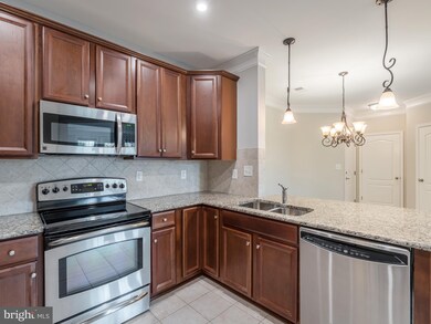 24701 Byrne Meadow Square unit 308, Aldie, VA 20105 - photo 5