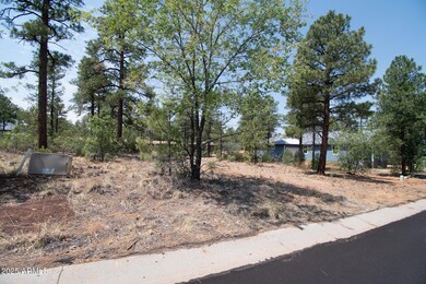381 E Huckleberry Ln unit 4, Show Low, AZ 85901 - photo 2