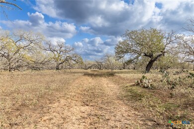 TBD County Road 113, Nixon, TX 78140 - photo 2