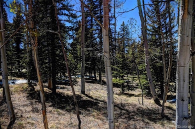 0 Kiowa St unit 9633454, Como, CO 80432 - photo 5